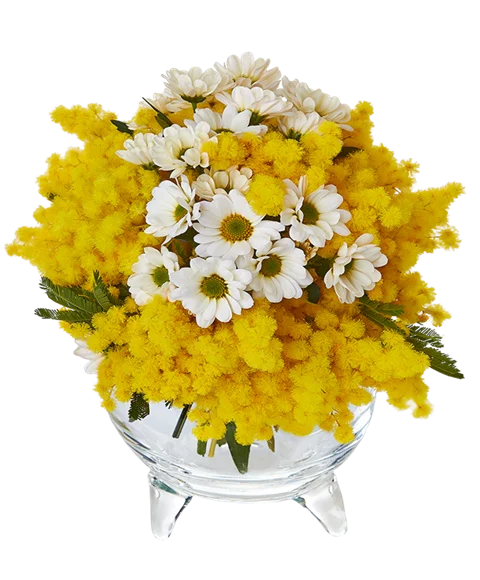 Bouquet di mimosa